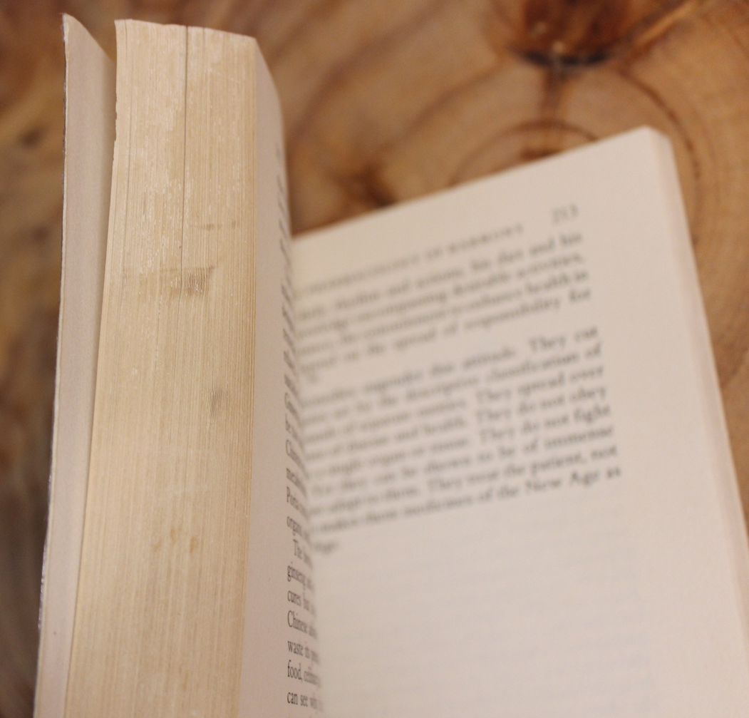 The root of being - Stephen Fulder