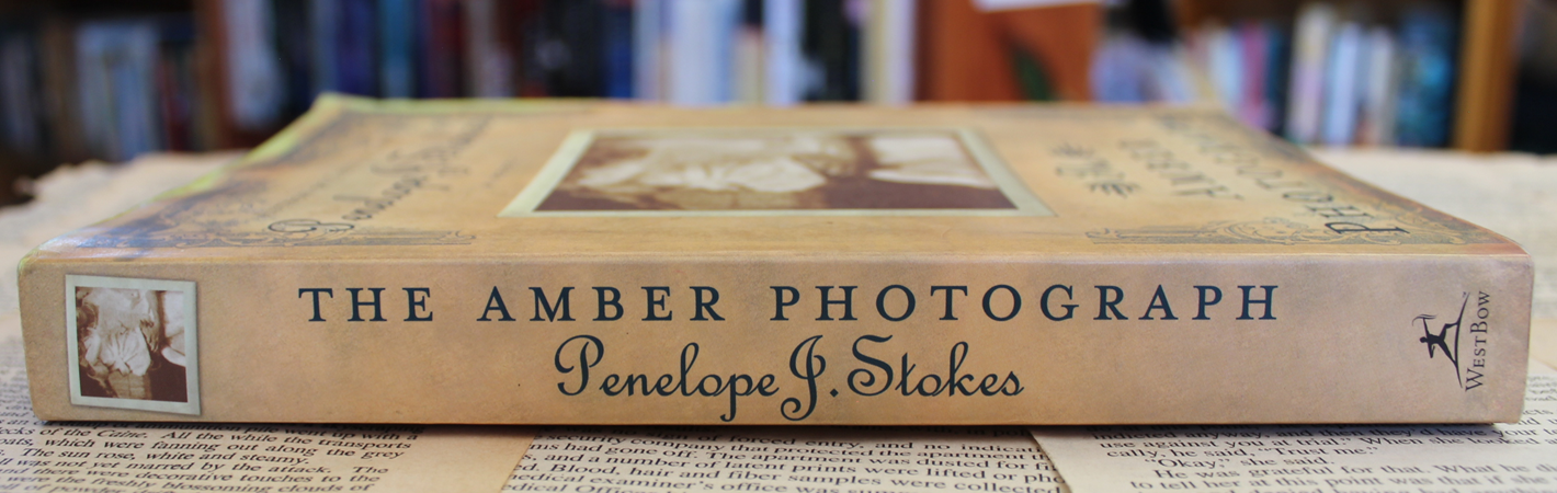 The amber photograph - Penelope J. Stokes