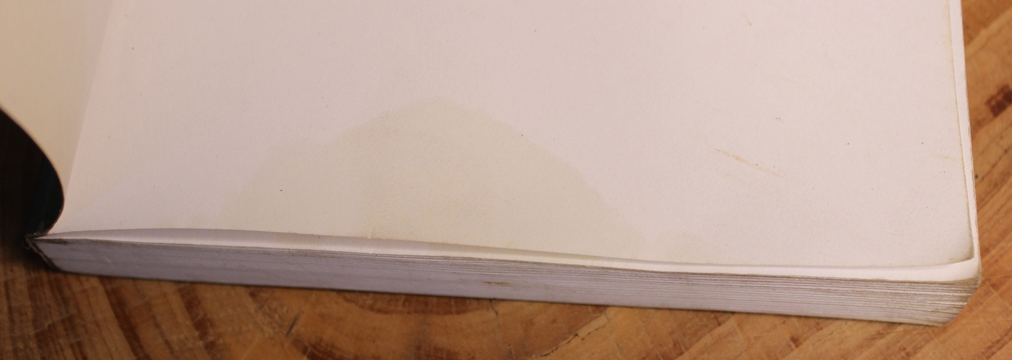 The deja vu enigma - Marie D Jones & Larry Flaxman