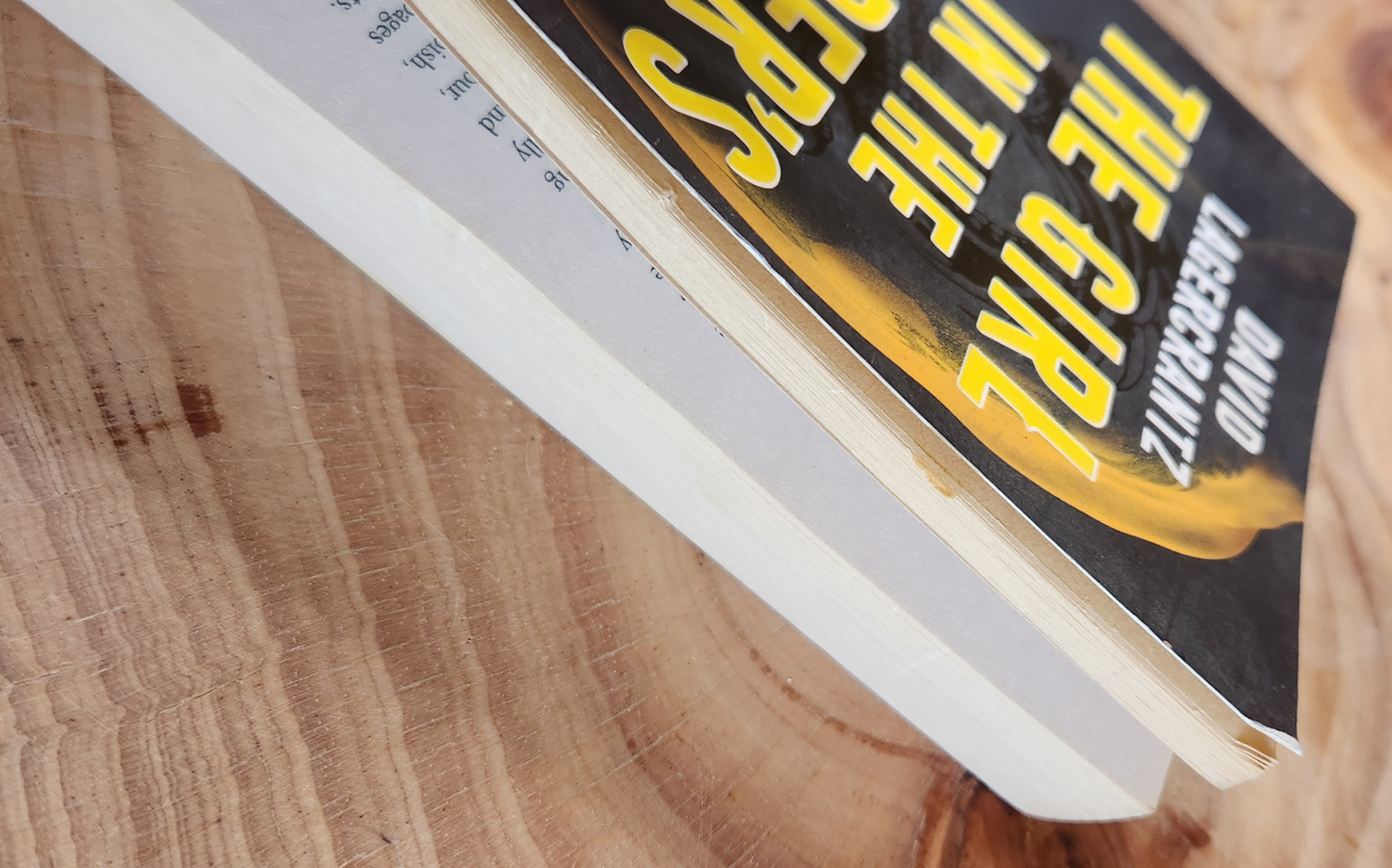 The girl in the spider's web - David Lagercrantz