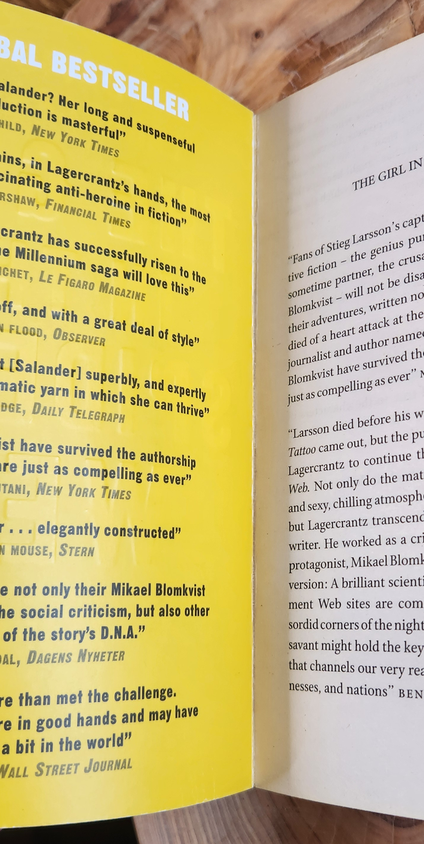 The girl in the spider's web - David Lagercrantz