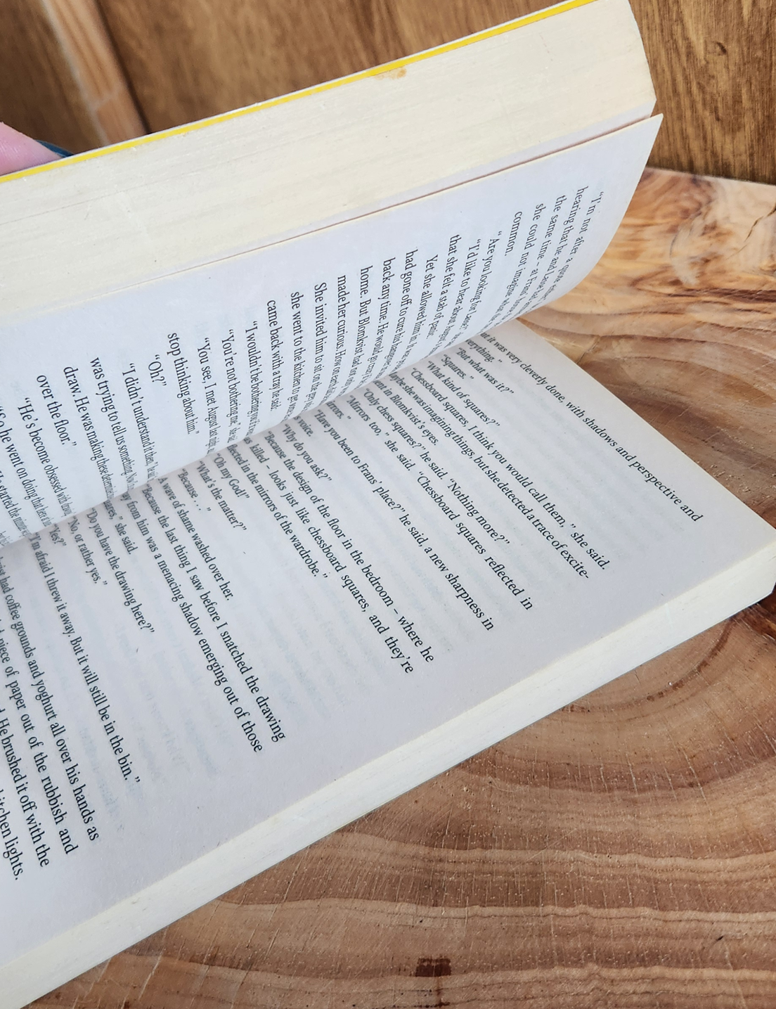 The girl in the spider's web - David Lagercrantz