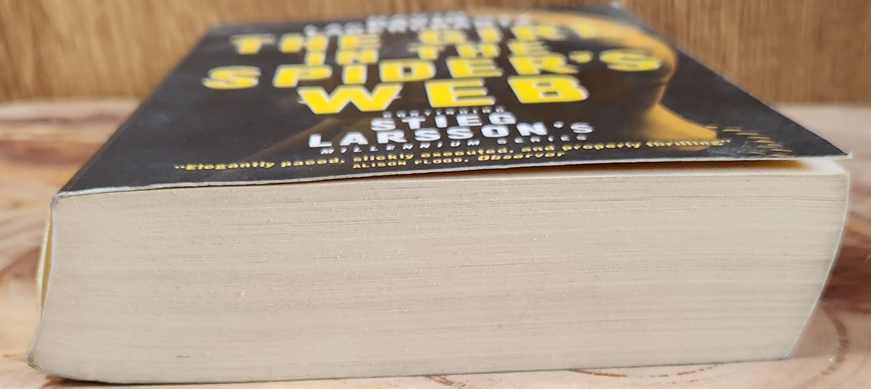 The girl in the spider's web - David Lagercrantz