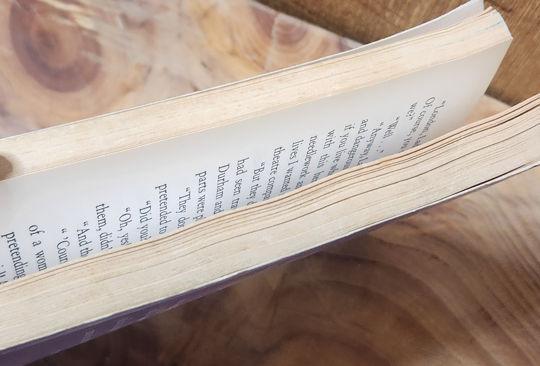 The lady of fire and tears - Terry Deary