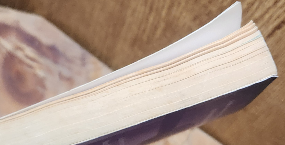 The lady of fire and tears - Terry Deary