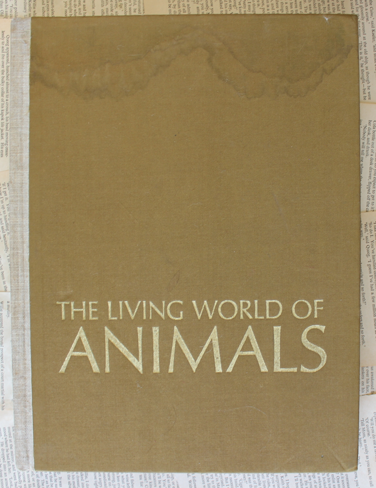 The living world of Animals