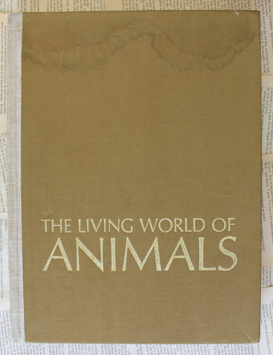 The living world of Animals