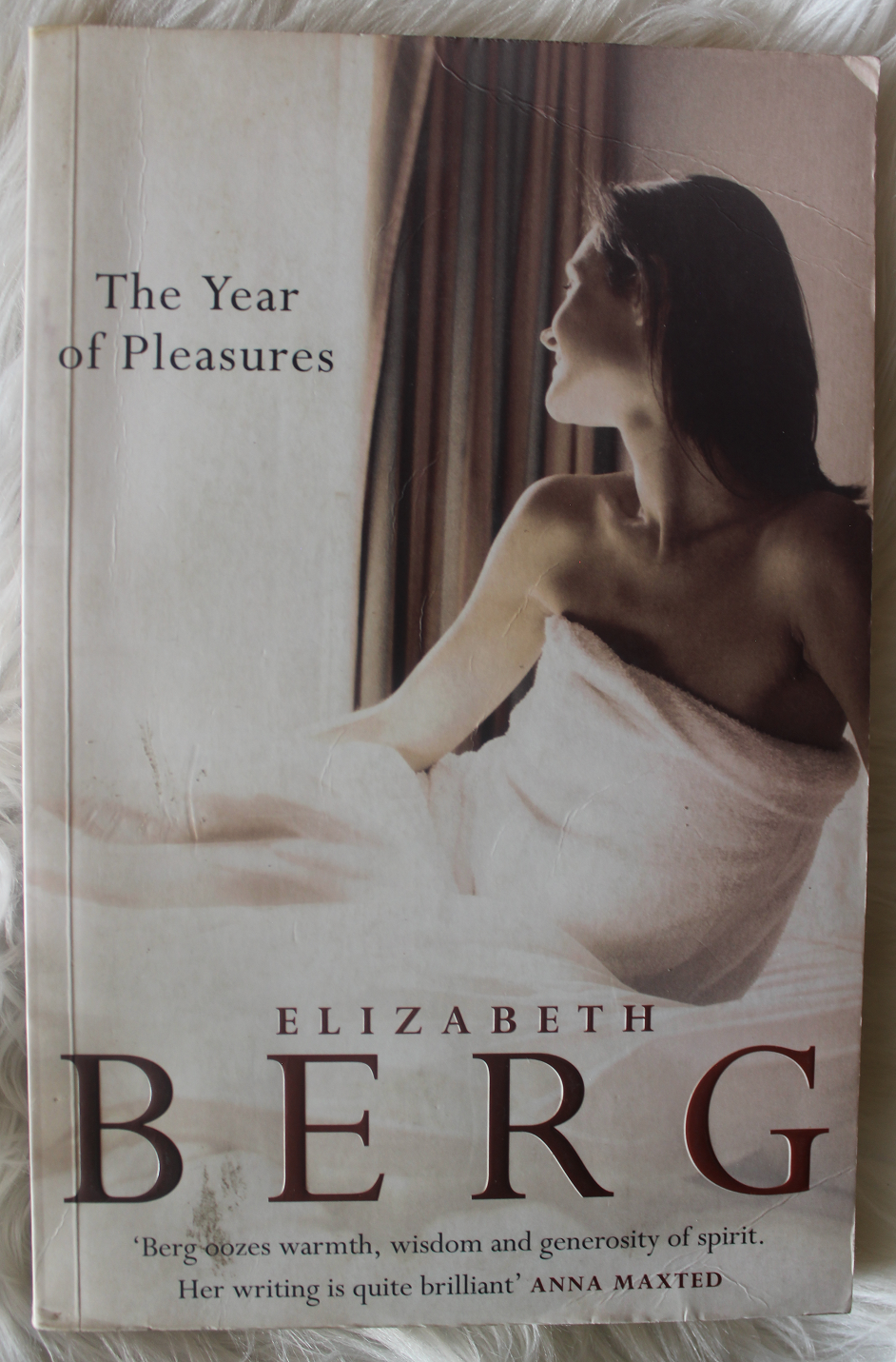 The year of pleasures - Elizabeth Berg