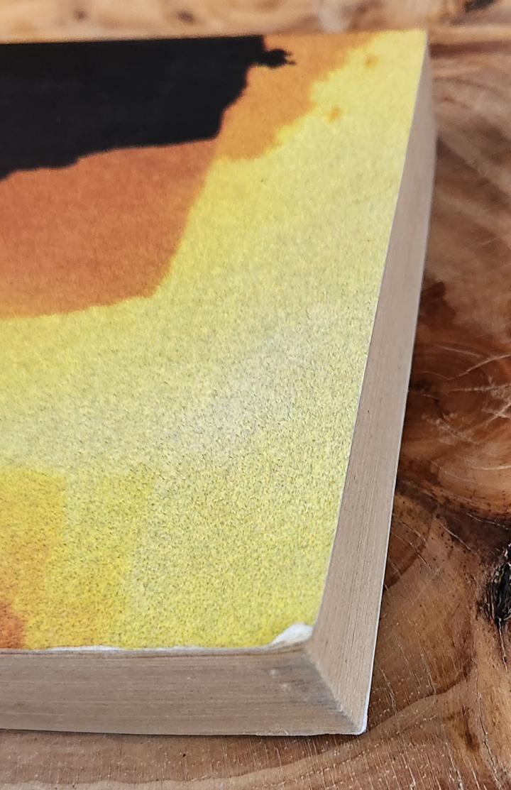 This time the flames - David Crackanthorpe