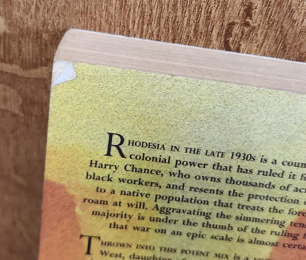 This time the flames - David Crackanthorpe