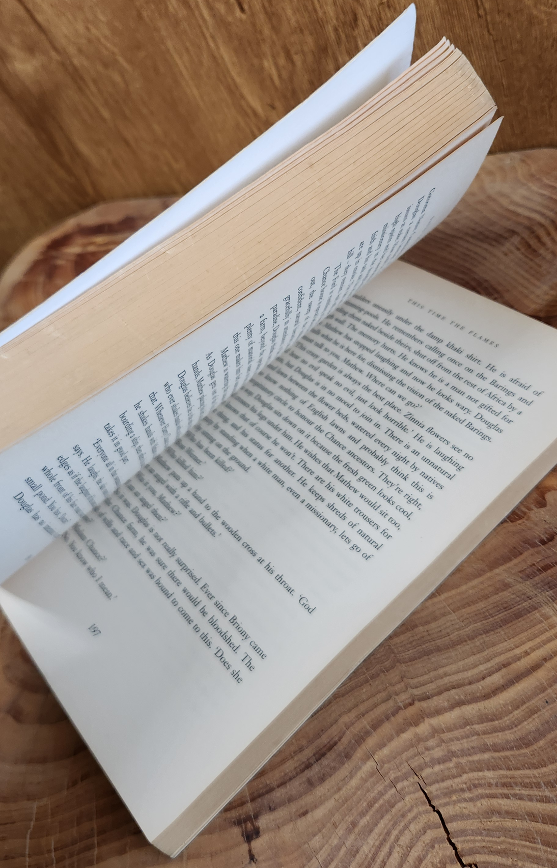 This time the flames - David Crackanthorpe