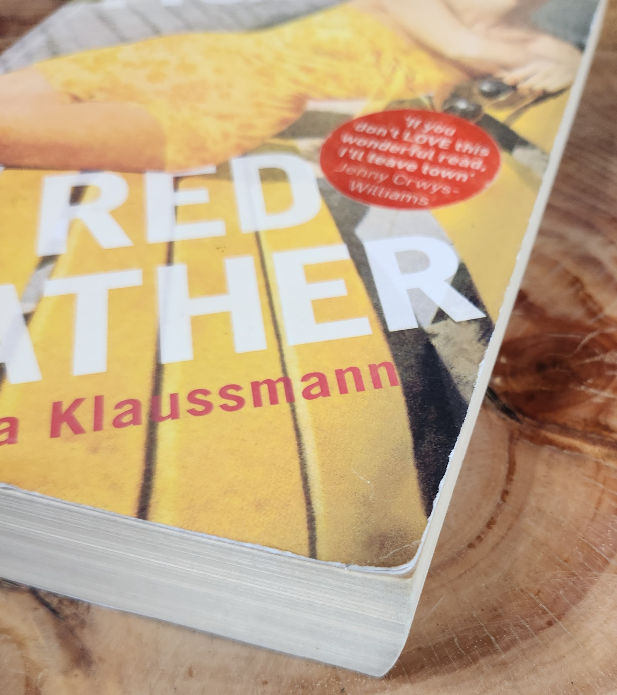 Tigers in red weather - Liza Klaussmann