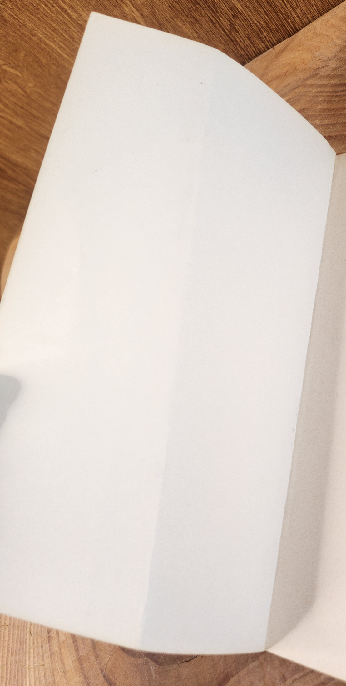 Trazom, 'n mozart verhaal - Philip de vos