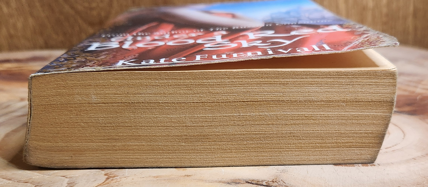 Under a blood red sky - Kate Furnivall