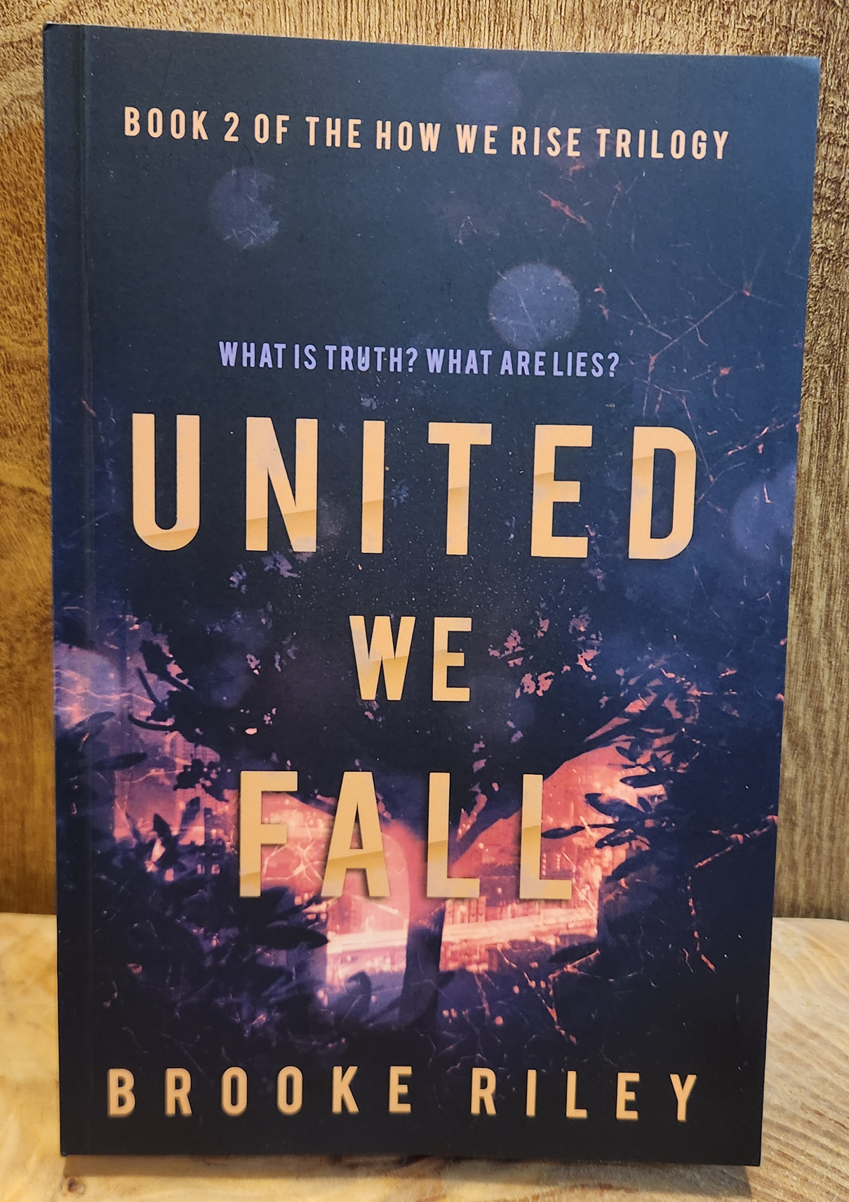 United We Fall - Brooke Riley