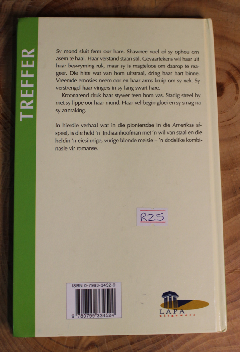 Vlug van die arend - Magdaleen Viviers