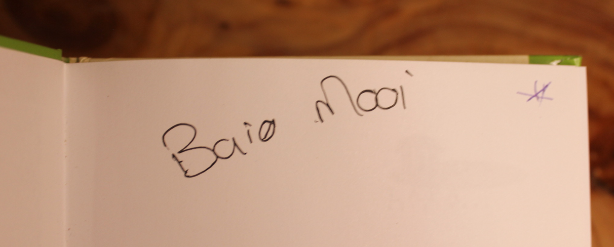 Vlug van die arend - Magdaleen Viviers