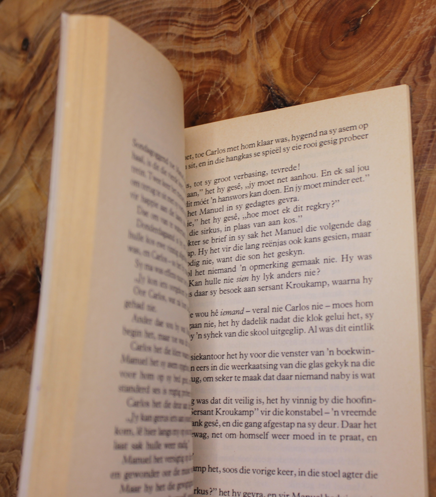 Wegloopwinter - Rona Rupert