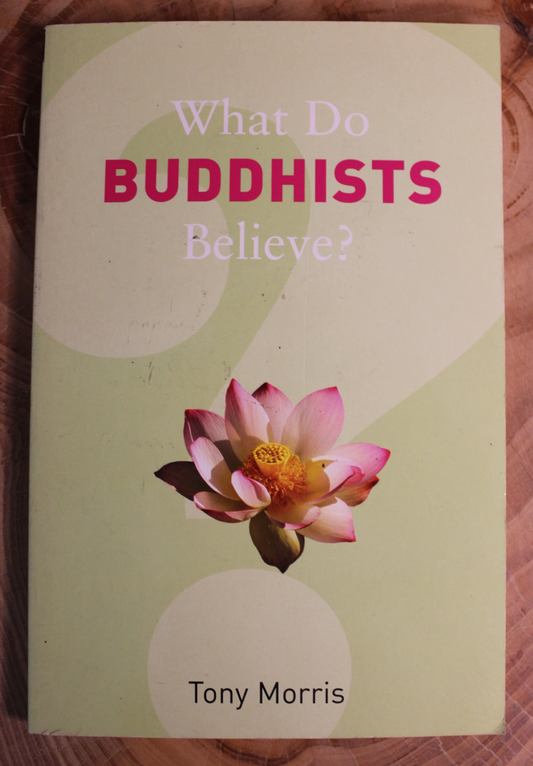 What do buddhists believe - Tony Morris