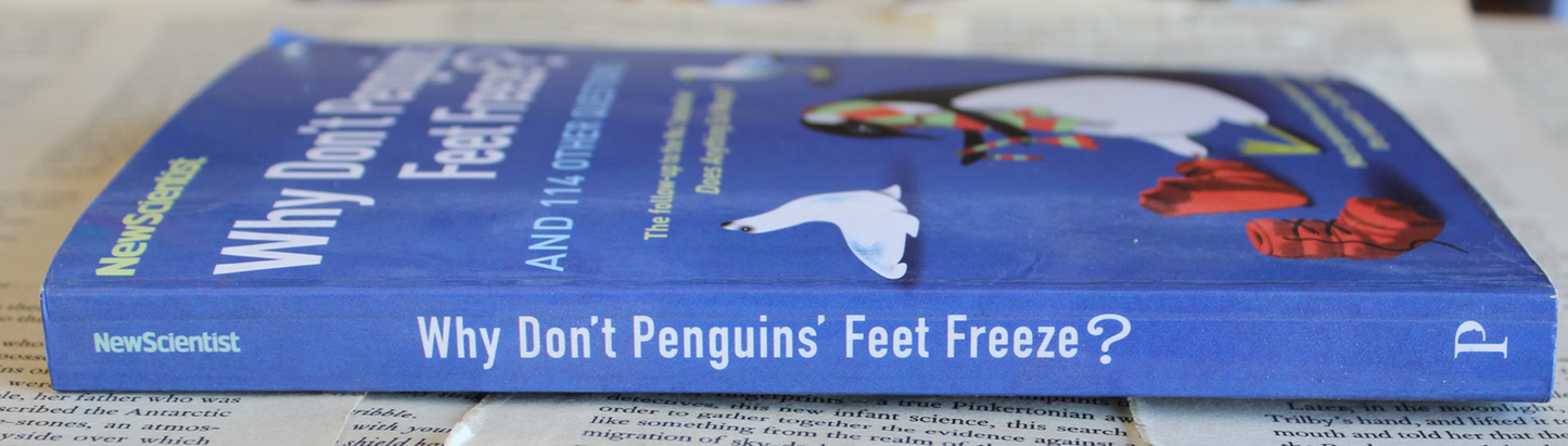Why don't penguins' feet freeze