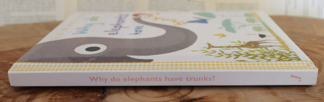 Why do Elephants have Trunks