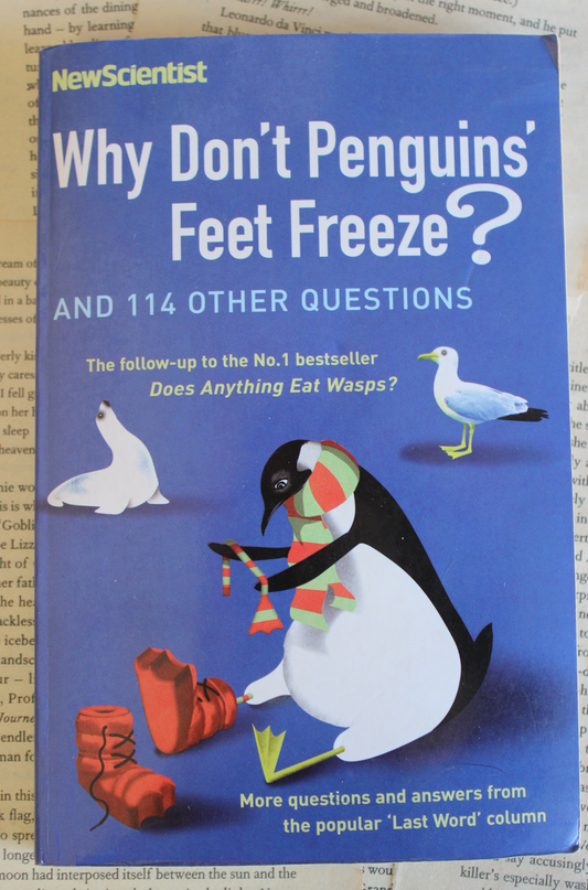 Why don't penguins' feet freeze