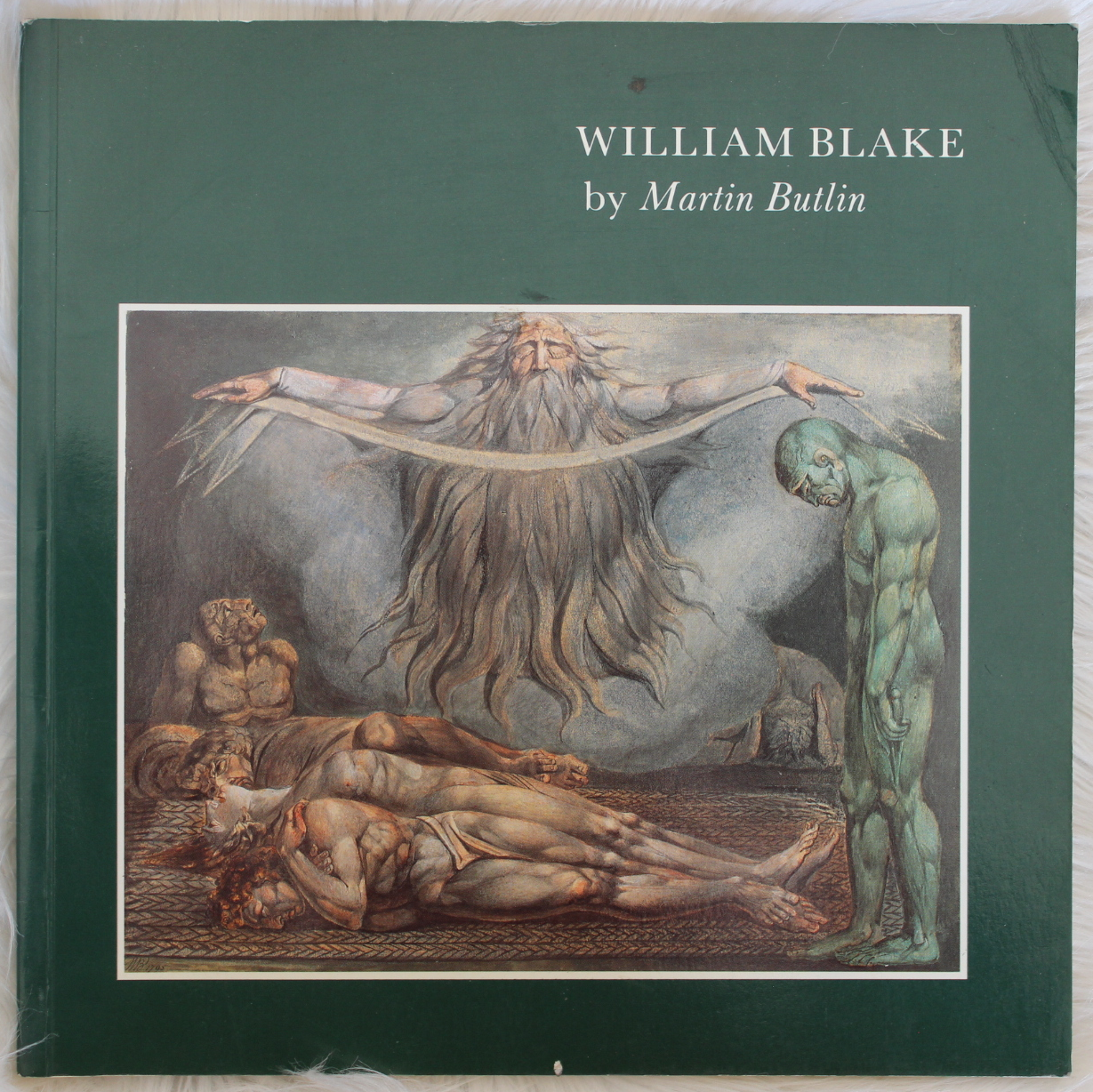 William Blake by Martin Butlin