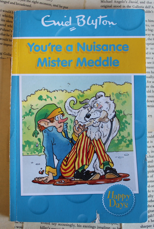 You're a nuisance mister meddle - Enid Blyton