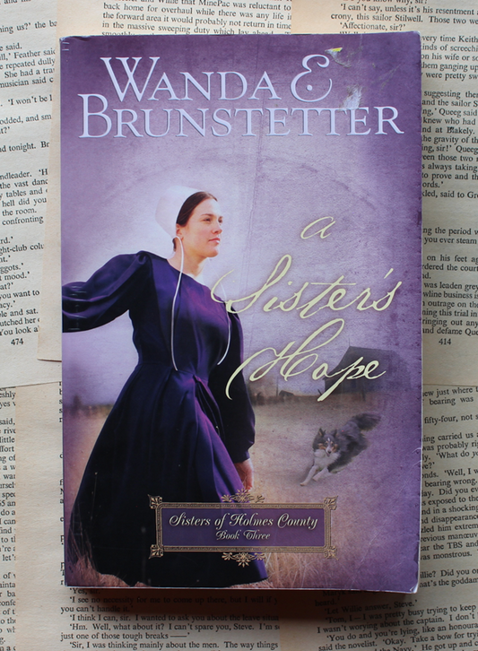 a Sister's hope - Wanda E Brunstetter