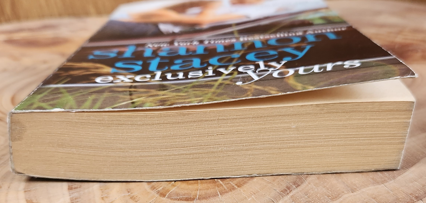exclusively yours - Shannon Stacey