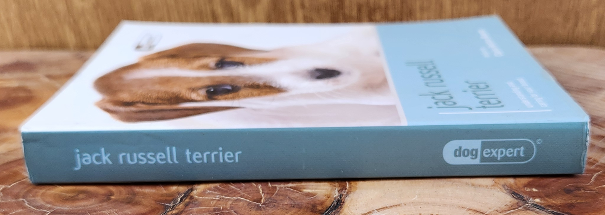 jack russell terrier - Claire Horton-Bussey