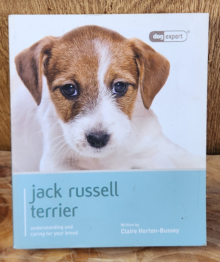 jack russell terrier - Claire Horton-Bussey