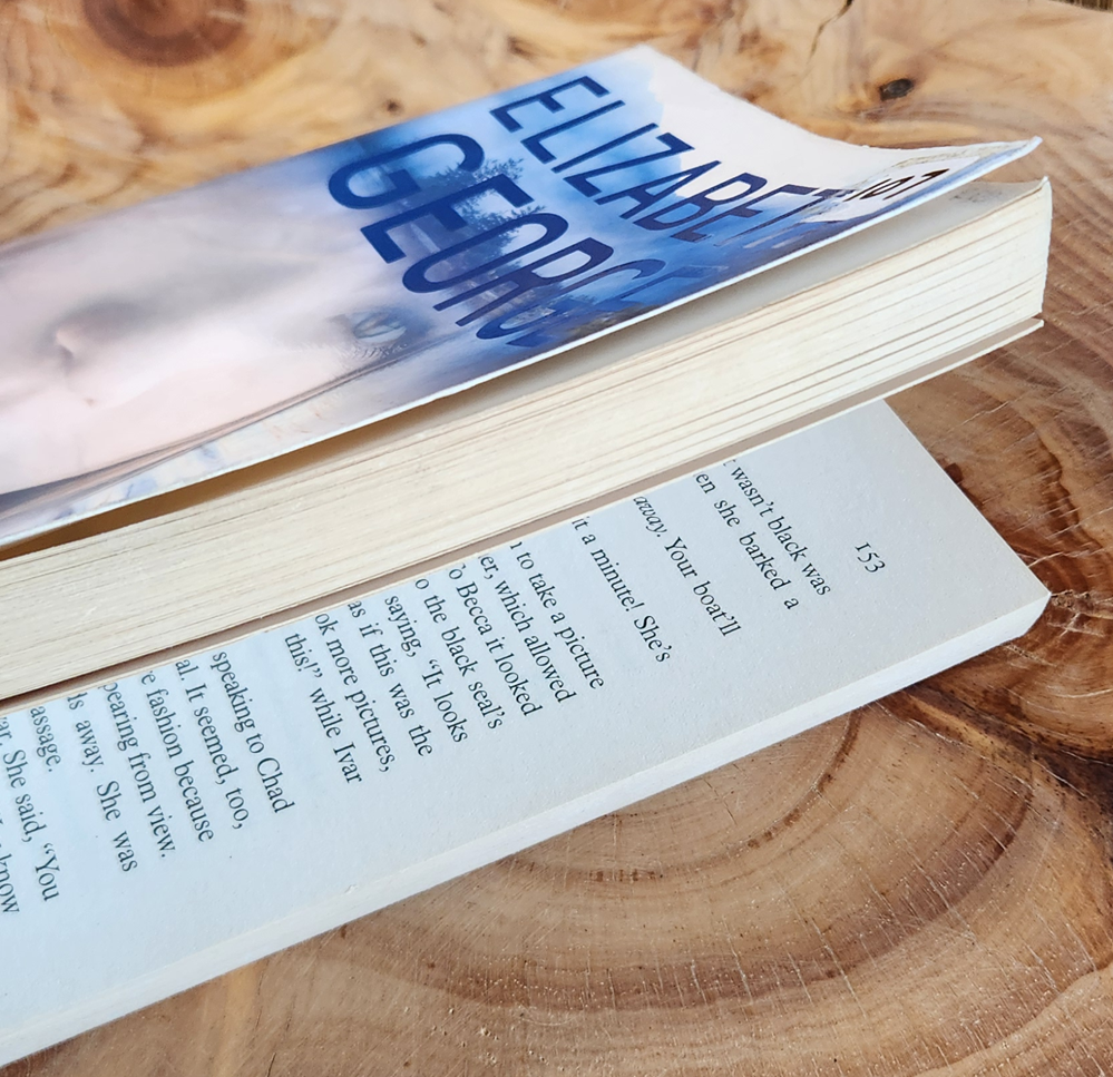 the Edge of the Water - Elizabeth George