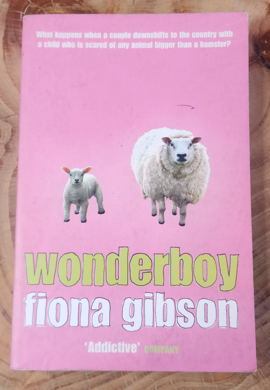 wonderboy - Fiona Gibson