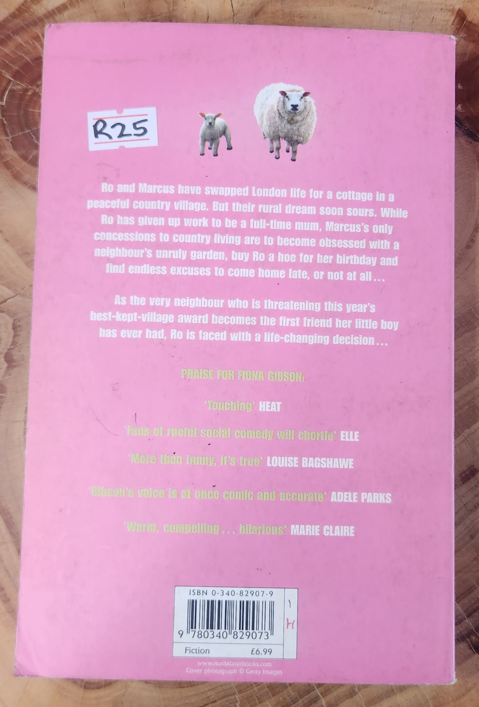 wonderboy - Fiona Gibson