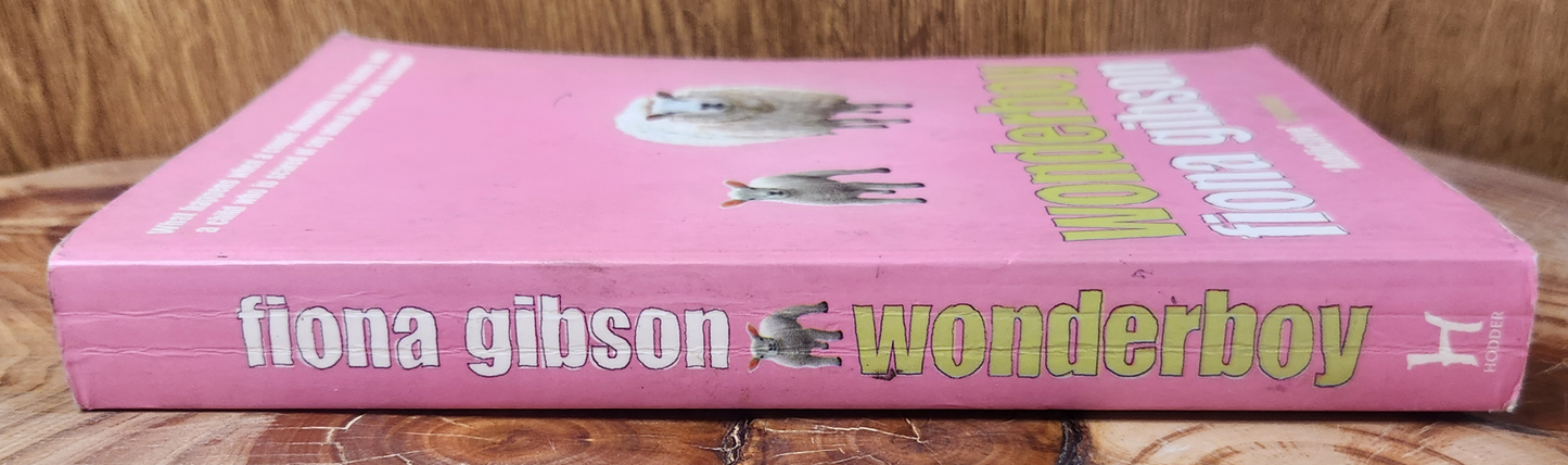 wonderboy - Fiona Gibson